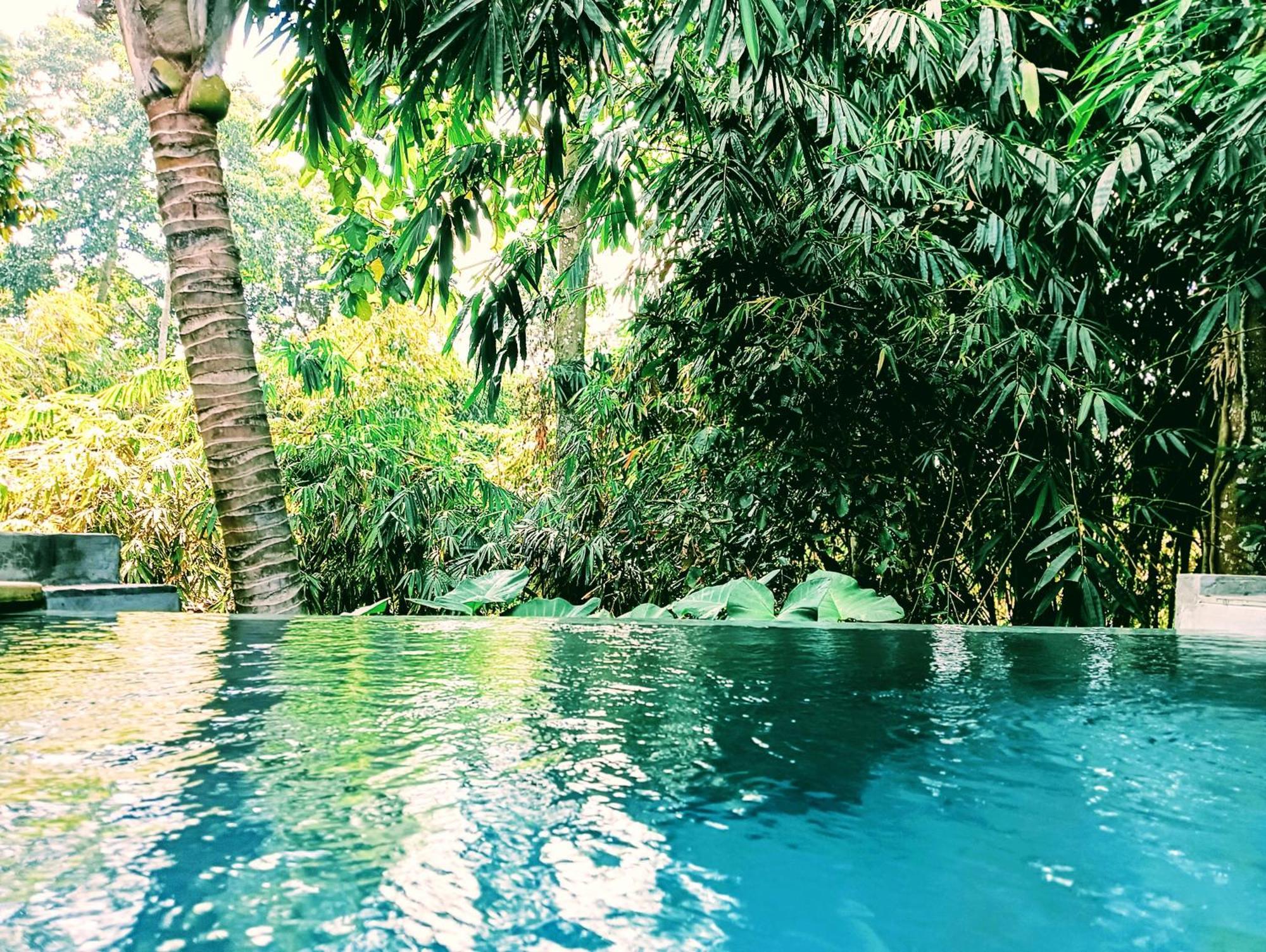 Ngesil Private Joglo & Pool Hotel Ubud Exterior foto